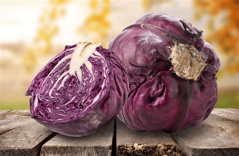 The Secrets Of Red Cabbage Revealed Freshmag