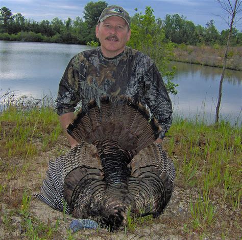 Turkey Hunting Tips And Tactics Carolina Sportsman
