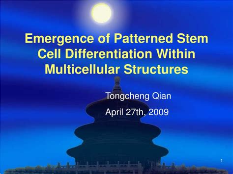 Ppt Emergence Of Patterned Stem Cell Differentiation Within Multicellular Structures