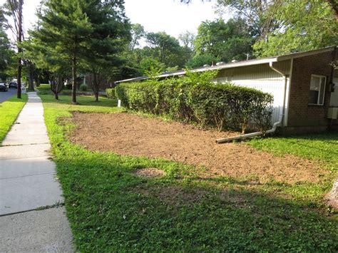 Princeton Nature Notes Public Raingarden Bulldozed