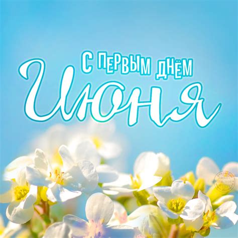 Картинки с первым днём лета: прикольные и красивые открытки с надписями ...