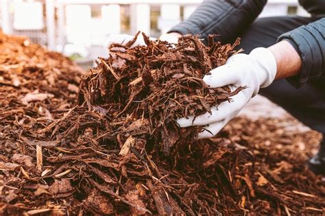 Premium Photo Recycling And Sustainability