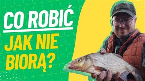 Co robić jak nie biorą Leszcze na method feeder YouTube