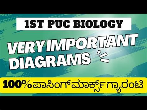 Important Diagrams 1st Puc Biology Important Questions YouTube