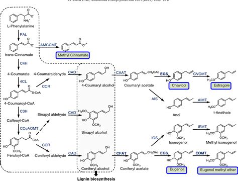 Figure From Comparative Functional Characterization Of Eugenol