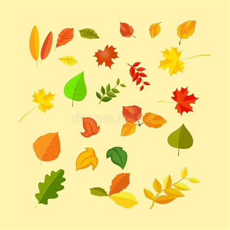 Set Of Colorful Autumn Leaves Stock Illustration Illustration Of