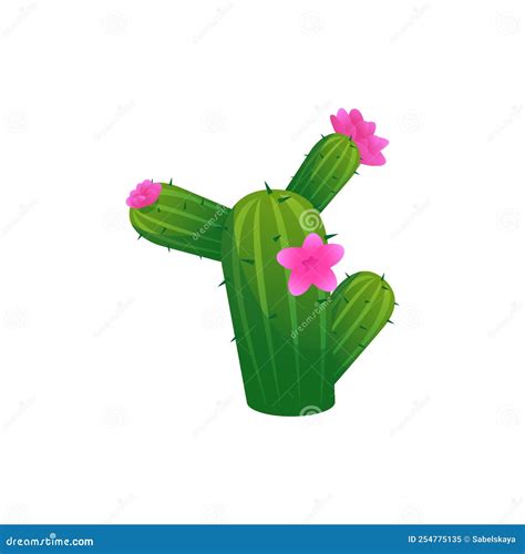 Green Blooming Cactus With Pink Gradient Flowers Flat Style Vector