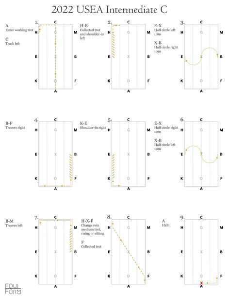 Usea Dressage Test Diagrams All Levels Etsy