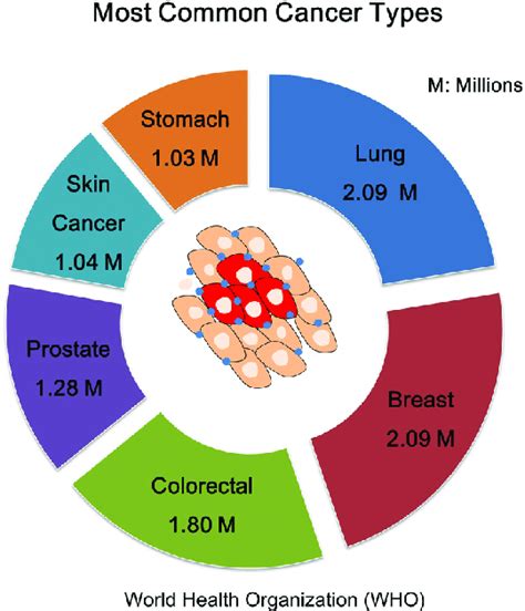 Types Of Cancer By Site G10 Cell And Cell Systems Libguides At Branksome Hall Asia