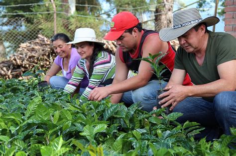 Familias indígenas se benefician con entrega de bovimos de cruce de