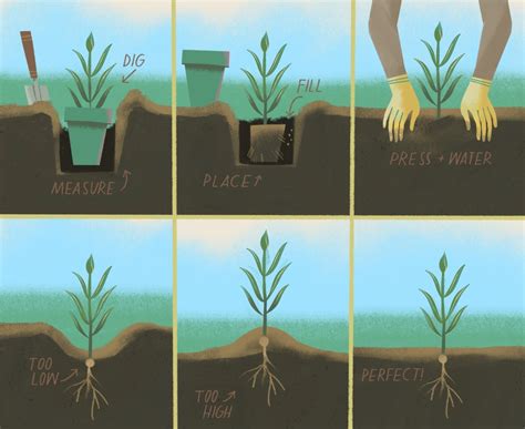 How to start a seed garden (and why you should) - WWF.CA