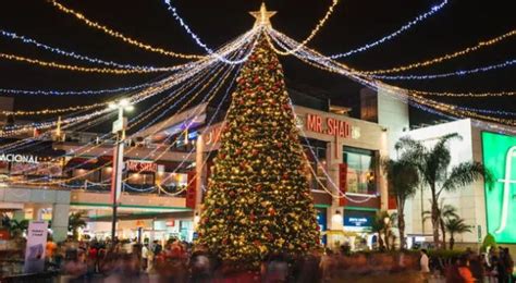 Megaplaza Recibe La Navidad Con El Encendido El Rbol En Todas Sus