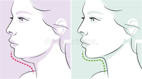 Chin Stock Illustrations 7498 Chin Stock Illustrations Vectors