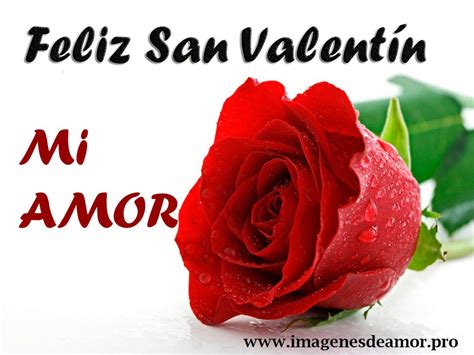 Imágenes Con Frases De Feliz Día De San Valentín Amor Mío Imagenes De