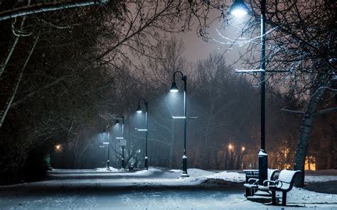 Park Winter Bench Night Lights Path Trees Wallpapers Hd Desktop