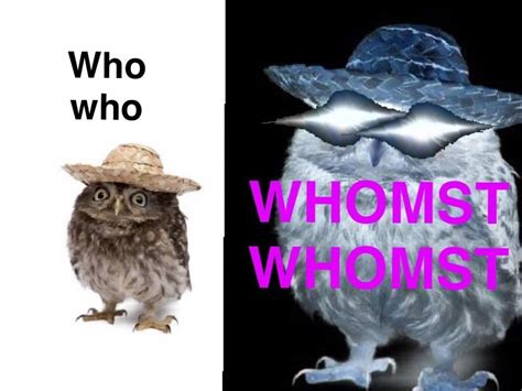 Whomst Whomst Know Your Meme