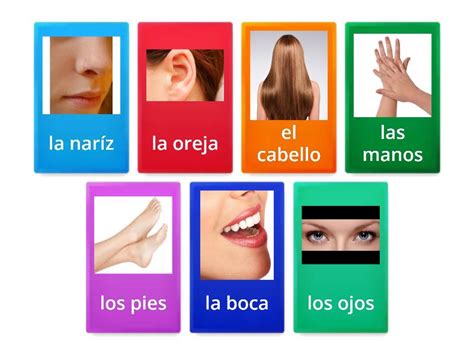 Tarjetas Partes Del Cuerpo Flip Tiles