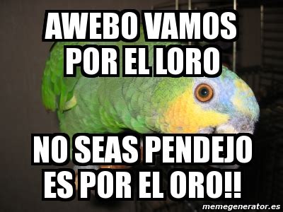 Meme Personalizado Awebo Vamos Por El Loro No Seas Pendejo Es Por El