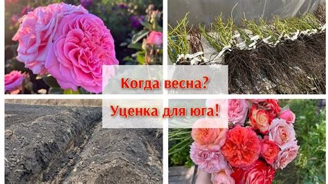 Когда весна? Уценка для юга))) - YouTube