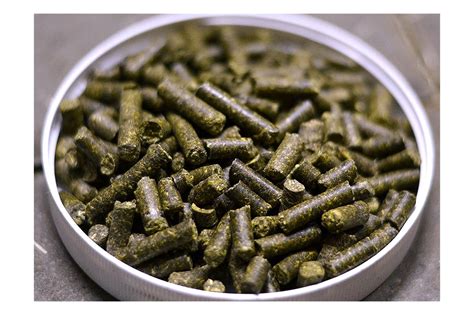 Dengie Alfa Beet Horse Feed Buy Online Spr Centre Uk