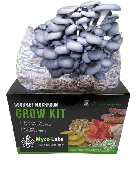 Blue Oyster Mushroom Grow Kit 5lbs