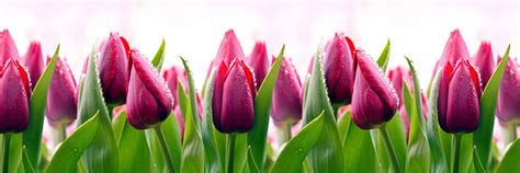 ХОББИ ФОРМ Силиконовые формы | ВКонтакте