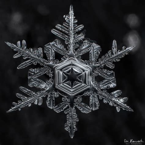 The Universe (as I see it) » Search Results » snowflake