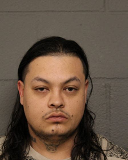 Berwyn Man Charged With Multiple Felony Sex Crimes After Attempting To