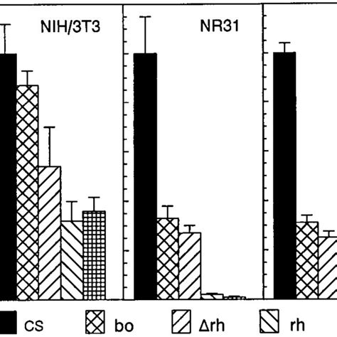 Mitogenic effects of full-length and truncated forms of FGF-1 on NR ... 
