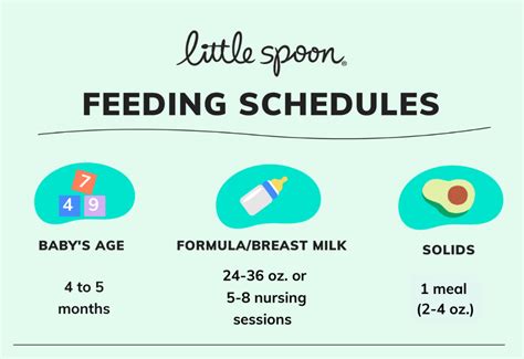 Sample Baby Feeding Schedule by Age - Is This Normal