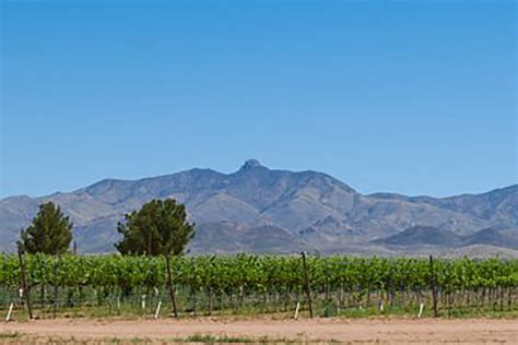 Weekend Getaway at Willcox Wineries | Explore Cochise