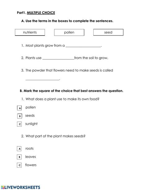 Science Quiz 1 Worksheet Live Worksheets