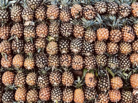 Queen pineapple wastes: A viable feed supplement for native chickens ...