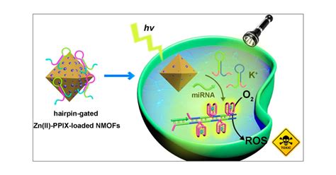 MiRNA Guided Imaging And Photodynamic Therapy Treatment Of Cancer Cells