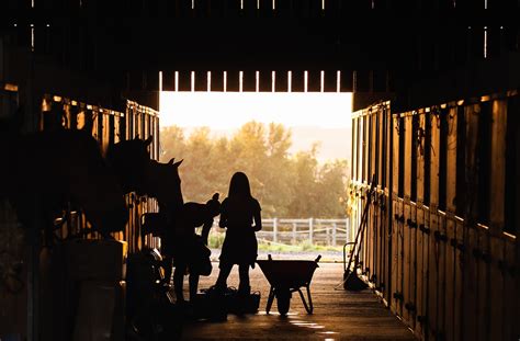 10000 Free Stable Scene And Stable Images Pixabay