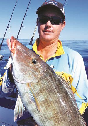 Bunker Group Reefs Bring Real Fishing Rewards Bush N Beach Fishing Mag