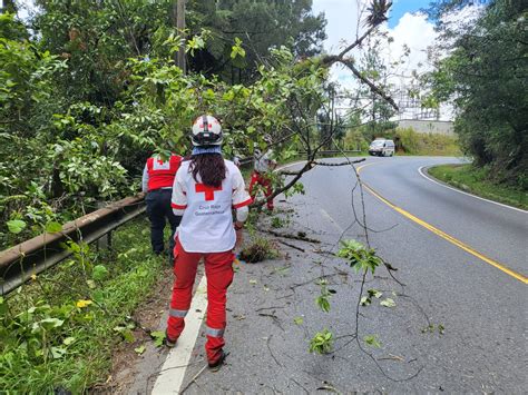 Nuestro Diario On Twitter Precauci N Un Rbol Cay Sobre El Km