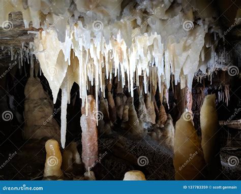 Buchan Caves Stalactites And Stalagmites Stock Image Image Of