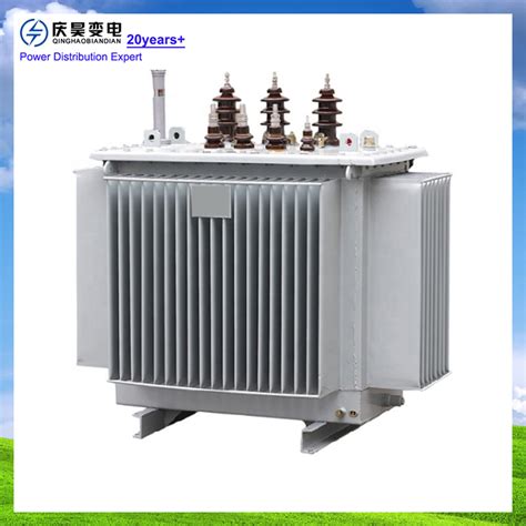 Fr Vegetable Mineral Oil Immersed Power Distribution Transformer For