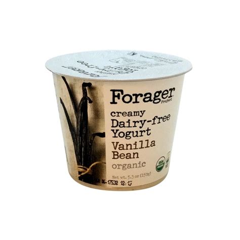 Forager Cashewgurt Vanilla Greenlawn Farms