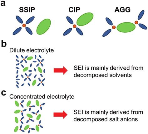 A Representative Li Cation Solvate Species Ssip Cip And Aggs In