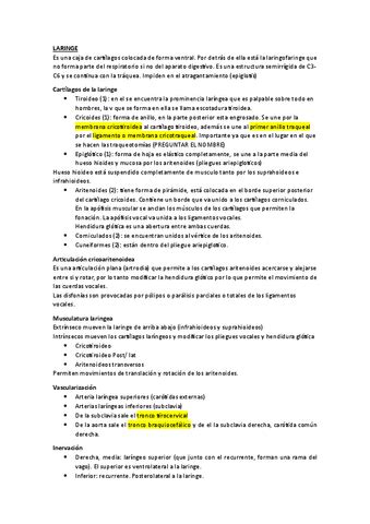 Apuntes De Grado En Fisioterapia Uca