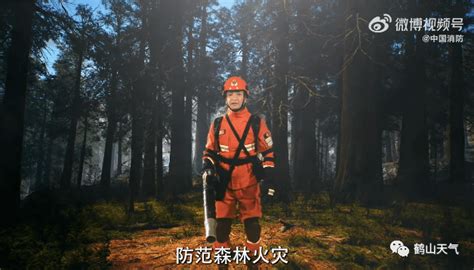 晴朗干燥持续森林天气鹤山