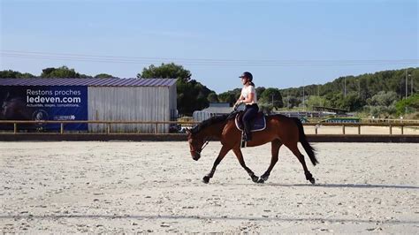 Souplesse Cheval Comment La D Velopper Youtube