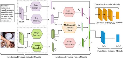 Frontiers A Two Branch Multimodal Fake News Detection Model Based On