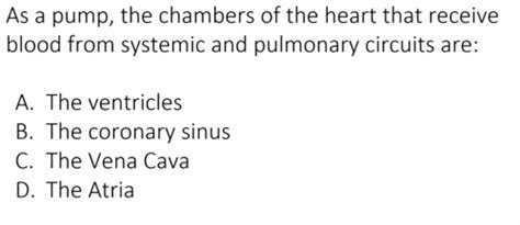 PHYSIO Iclicker Flashcards Quizlet