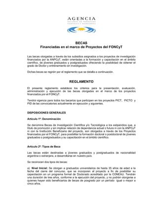 Nuevo Reglamento Becas Feb 2010 PDF