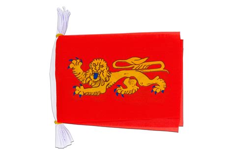 Aquitaine Flag Bunting 6x9 3 M MaxFlags Royal Flags