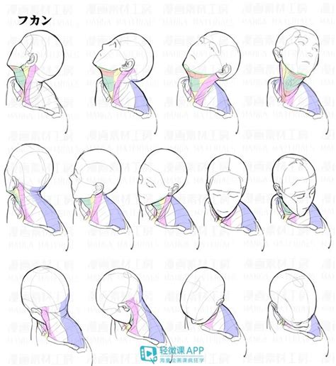 头部的画法详细教程，原画人物头部绘制步骤 其他资源 Powered By Discuz