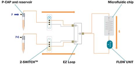 Fluigent高精密微流控循环进样ez Loop 微纳立方科技（北京）有限公司